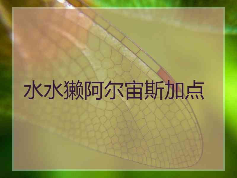 水水獭阿尔宙斯加点