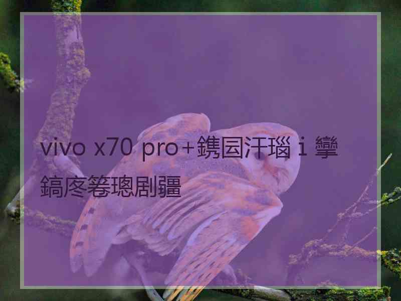 vivo x70 pro+鎸囩汗瑙ｉ攣鎬庝箞璁剧疆