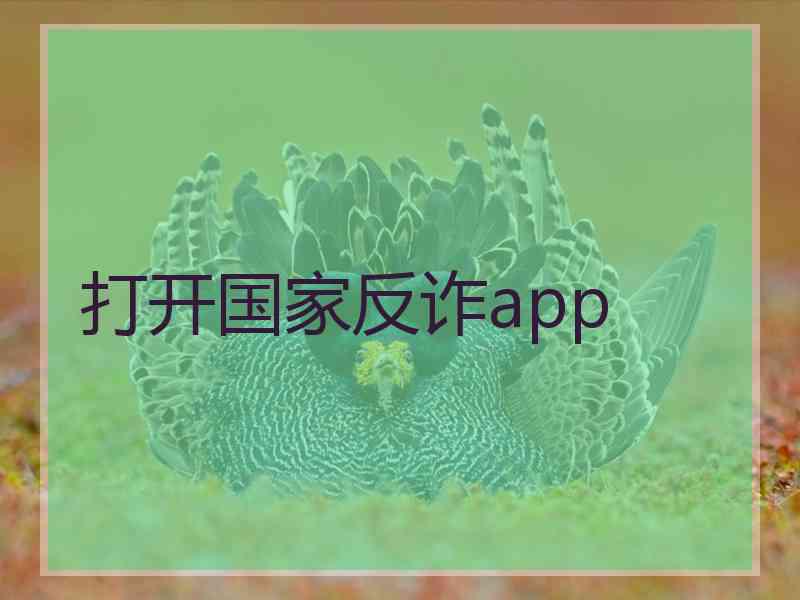 打开国家反诈app