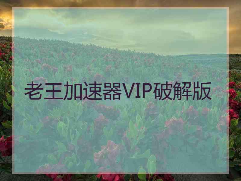 老王加速器VIP破解版