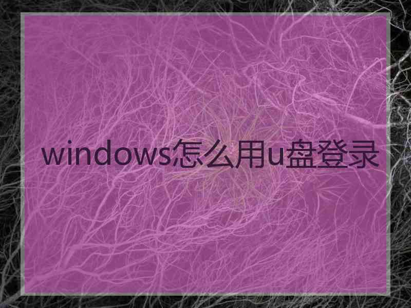 windows怎么用u盘登录