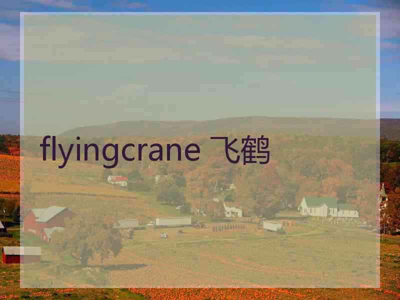 flyingcrane 飞鹤