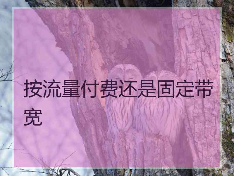 按流量付费还是固定带宽