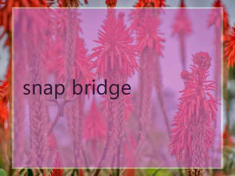 snap bridge