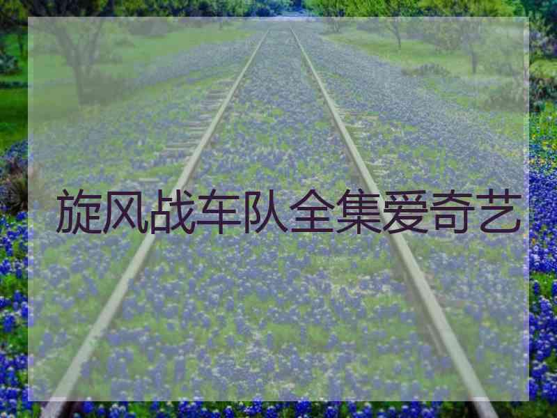 旋风战车队全集爱奇艺