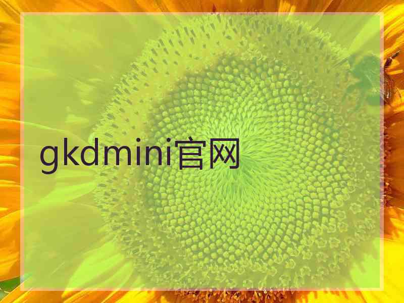 gkdmini官网