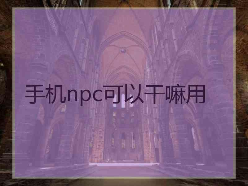 手机npc可以干嘛用