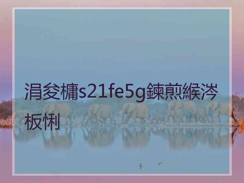 涓夋槦s21fe5g鍊煎緱涔板悧