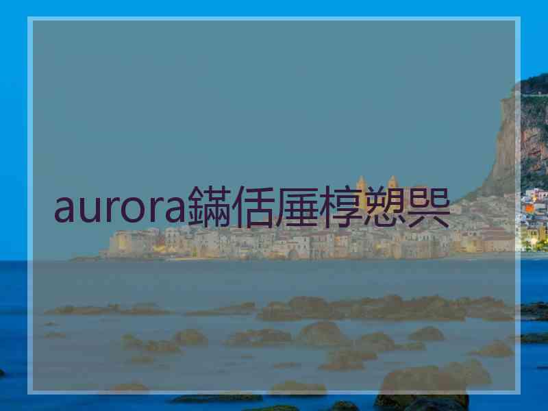 aurora鏋佸厜椁愬巺