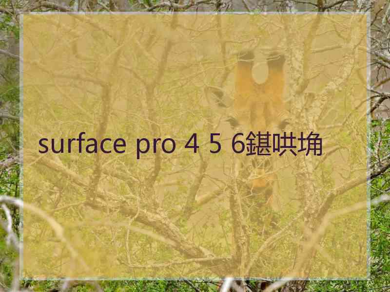 surface pro 4 5 6鍖哄埆