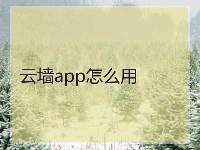 云墙app怎么用