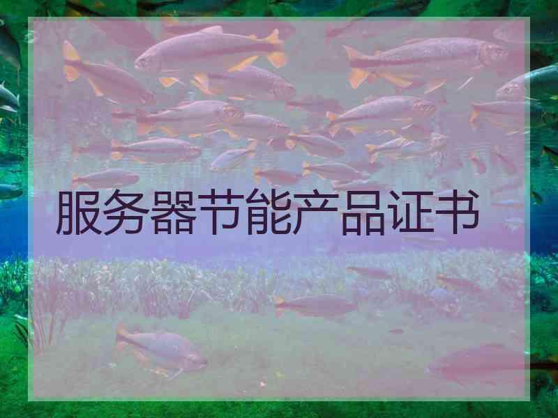 服务器节能产品证书