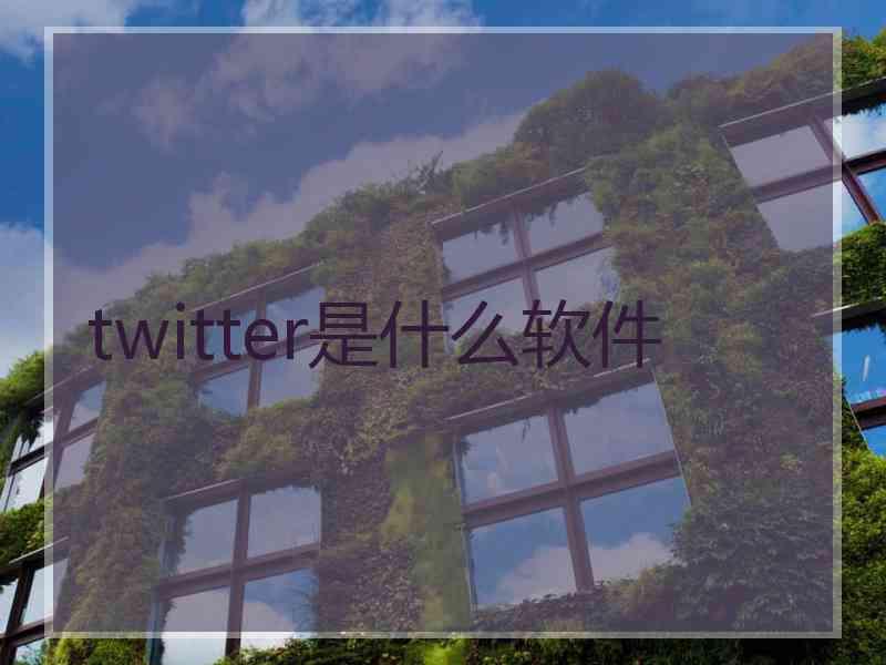 twitter是什么软件