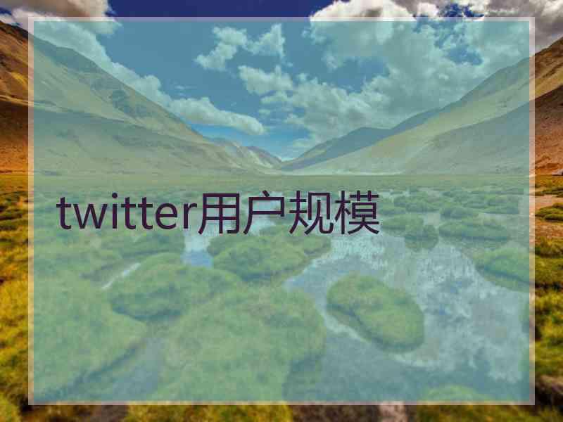 twitter用户规模