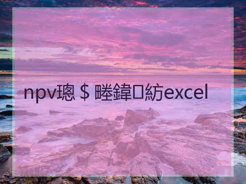 npv璁＄畻鍏紡excel