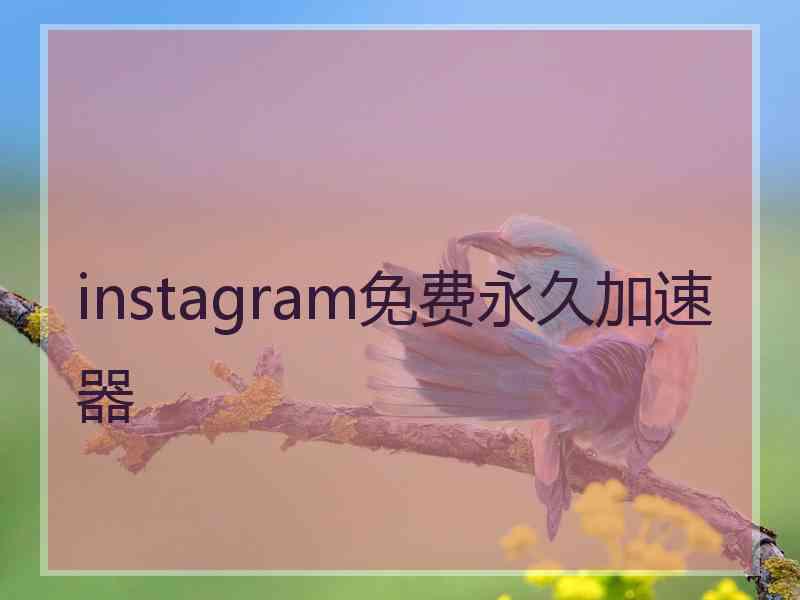 instagram免费永久加速器