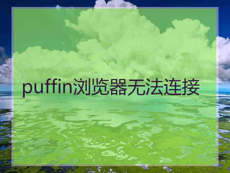 puffin浏览器无法连接