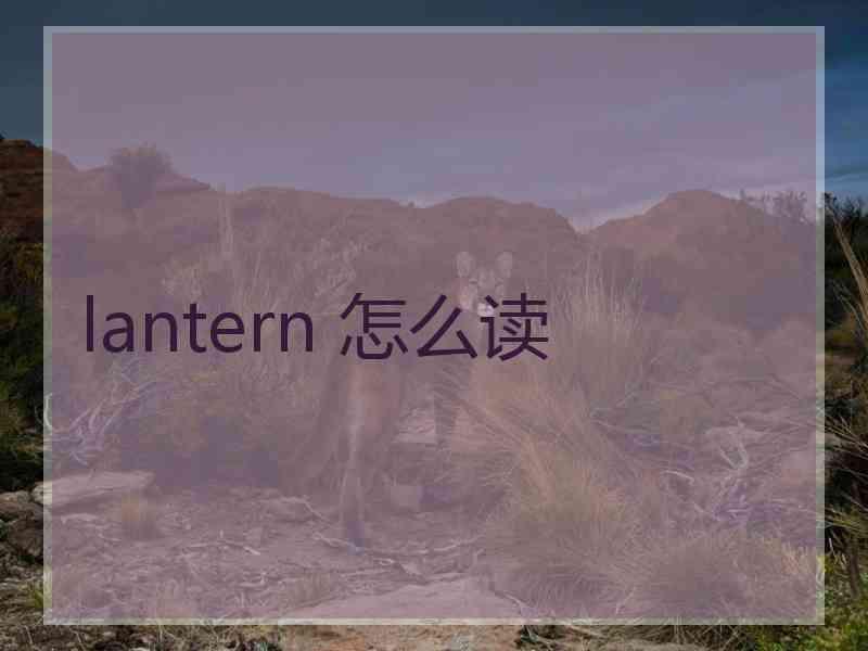 lantern 怎么读