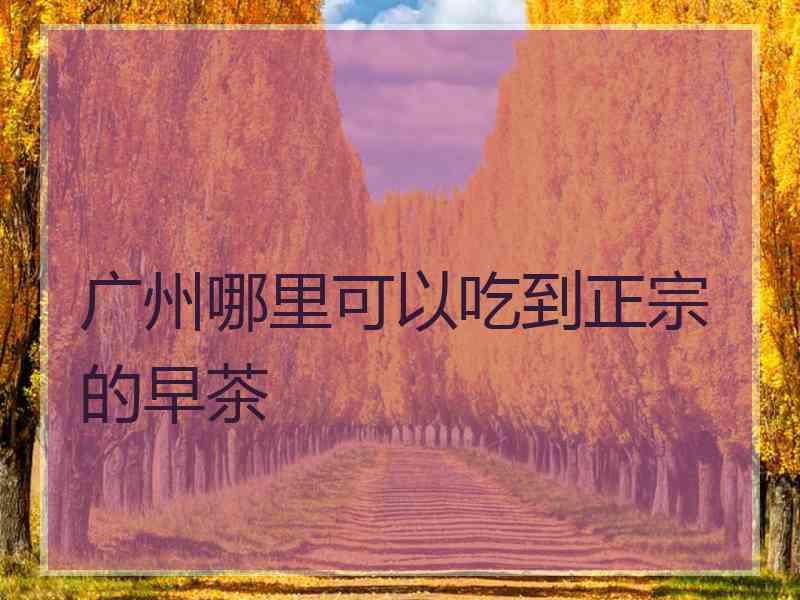 广州哪里可以吃到正宗的早茶