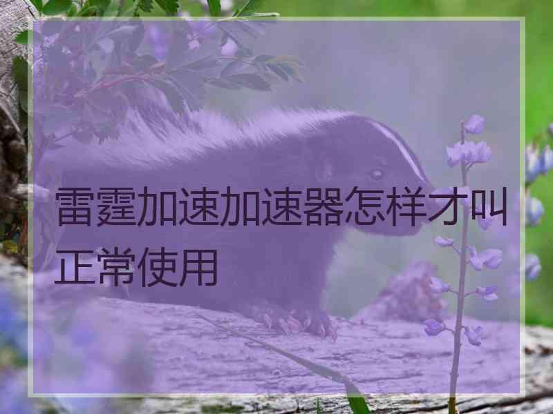 雷霆加速加速器怎样才叫正常使用