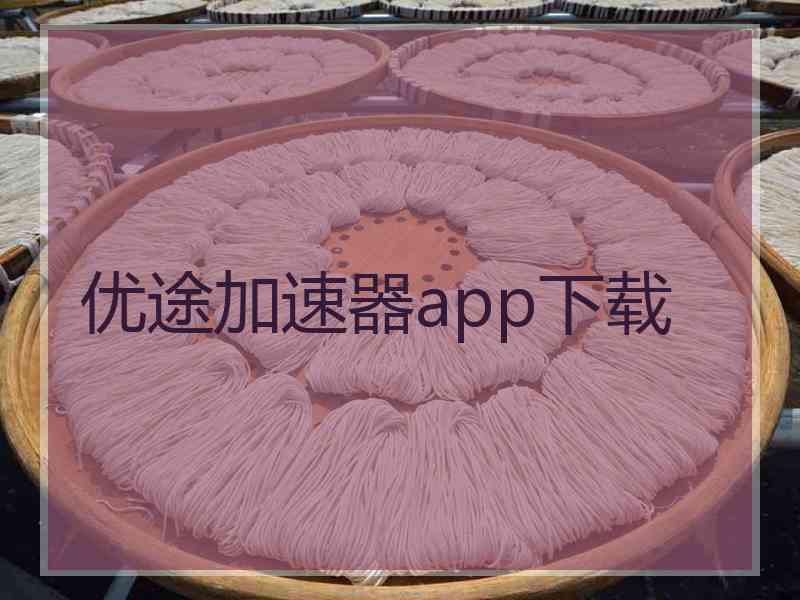 优途加速器app下载