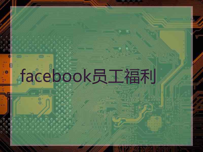 facebook员工福利