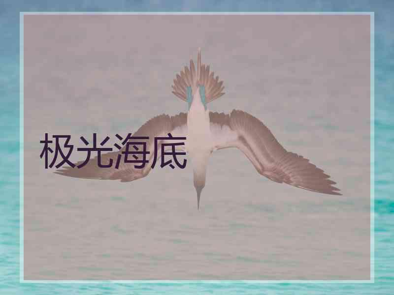 极光海底