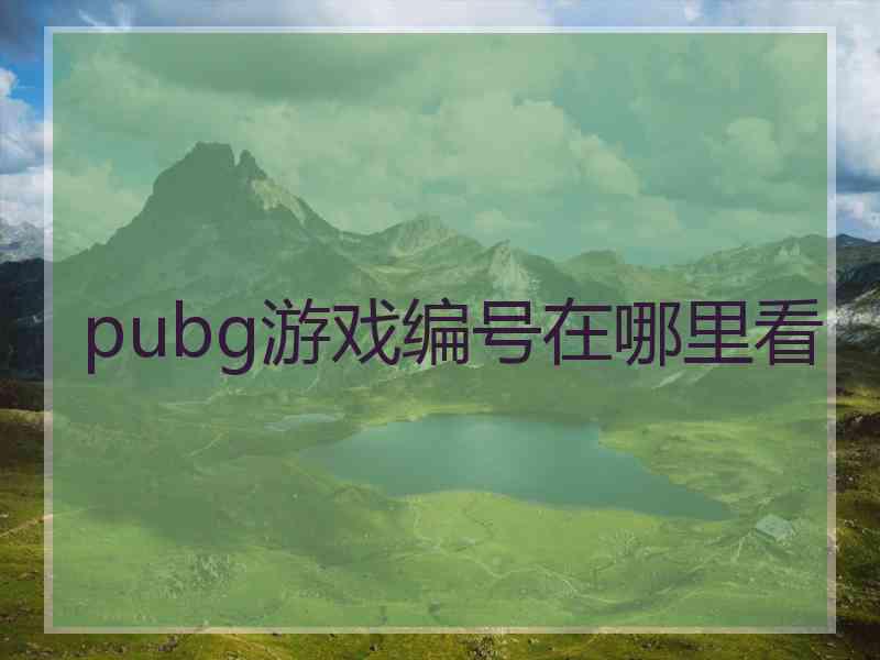 pubg游戏编号在哪里看