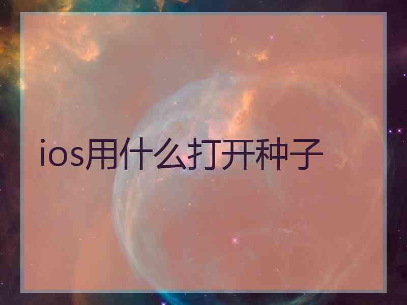 ios用什么打开种子