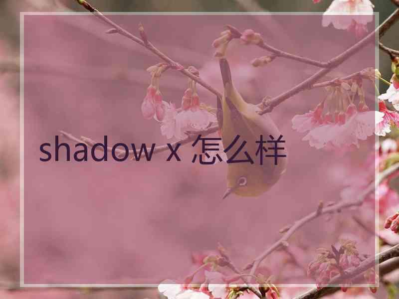 shadow x 怎么样