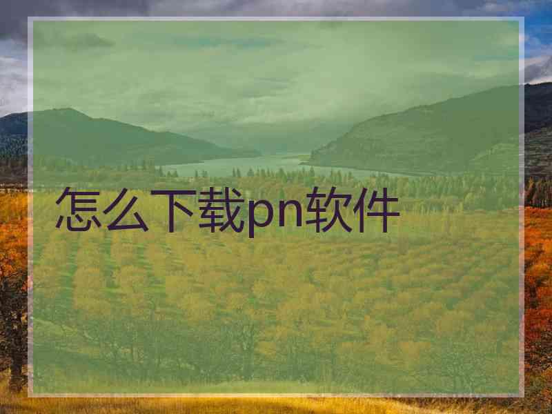 怎么下载pn软件