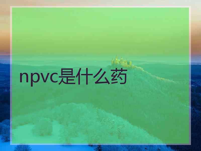 npvc是什么药