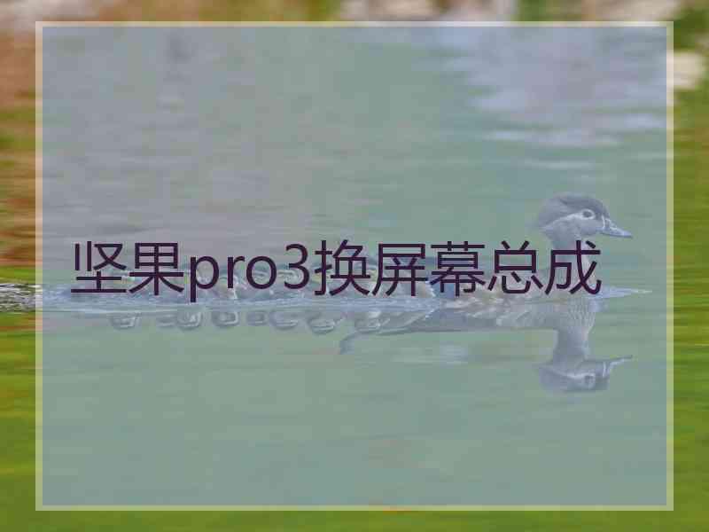 坚果pro3换屏幕总成