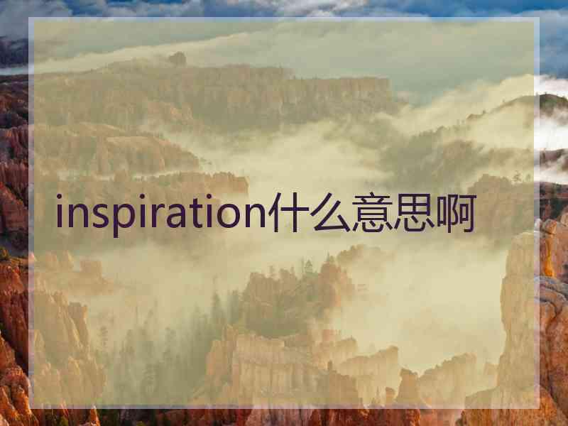 inspiration什么意思啊