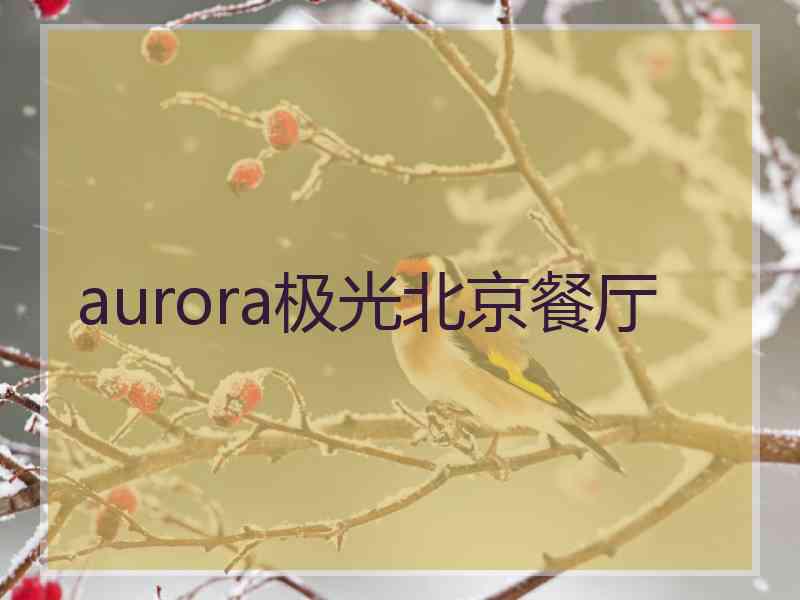 aurora极光北京餐厅