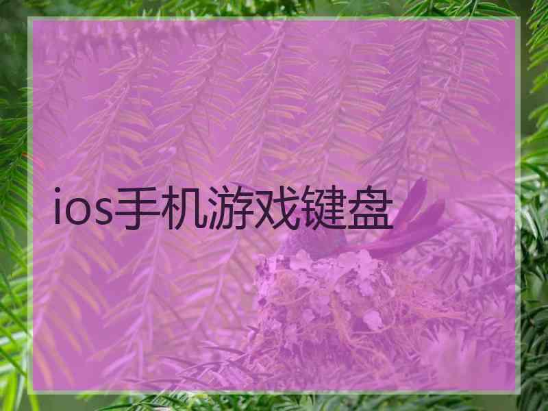 ios手机游戏键盘