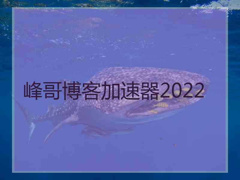 峰哥博客加速器2022