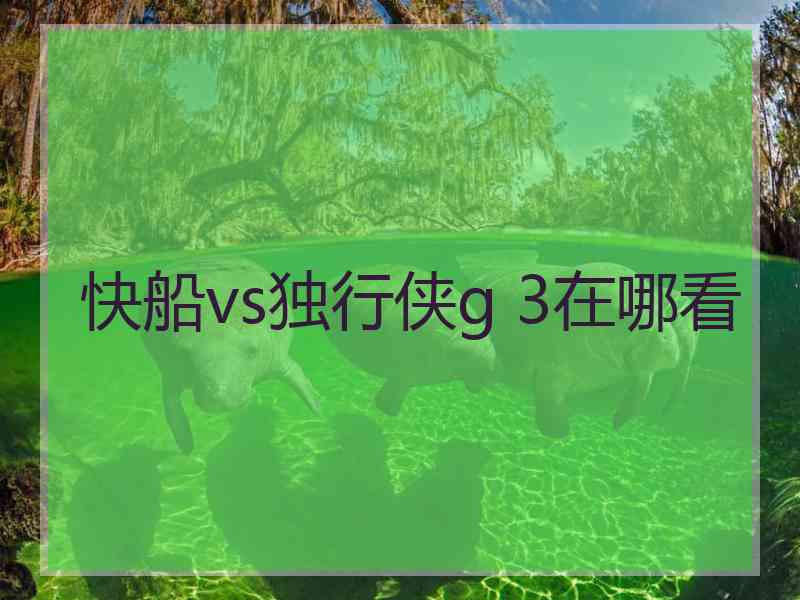 快船vs独行侠g 3在哪看