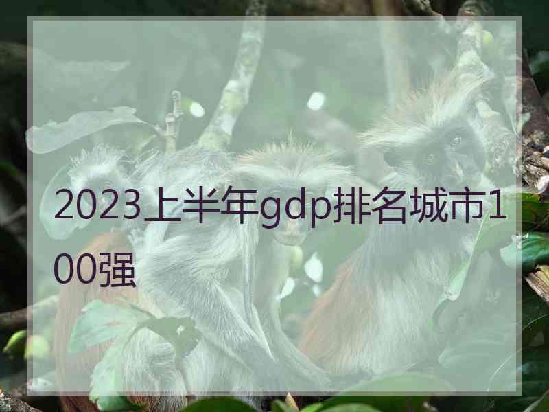 2023上半年gdp排名城市100强