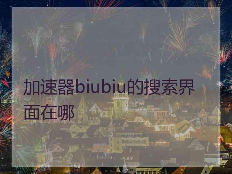 加速器biubiu的搜索界面在哪