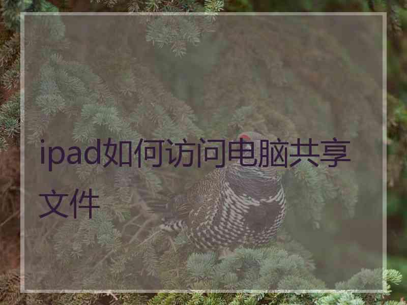 ipad如何访问电脑共享文件