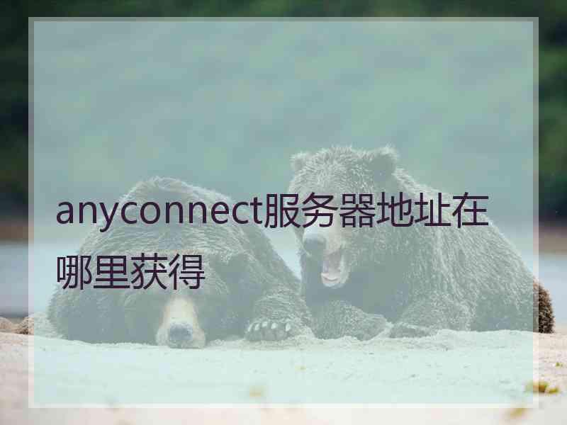 anyconnect服务器地址在哪里获得