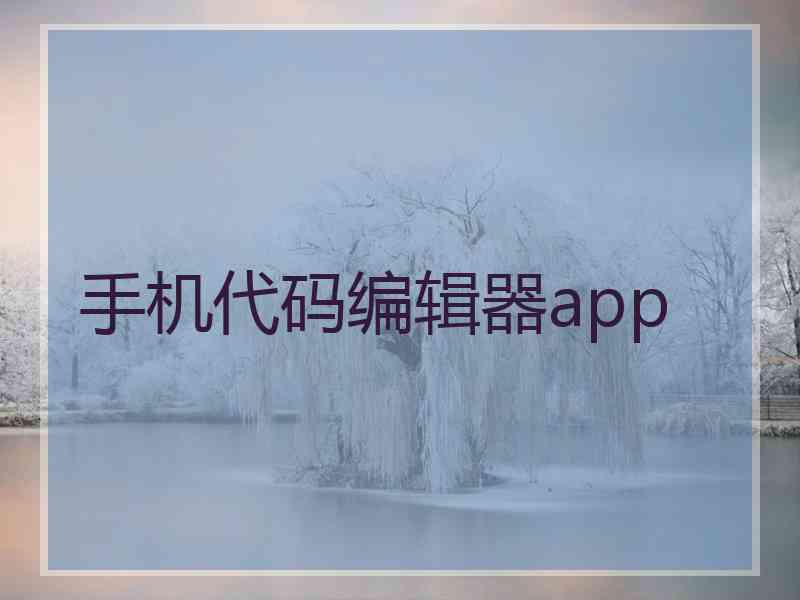 手机代码编辑器app