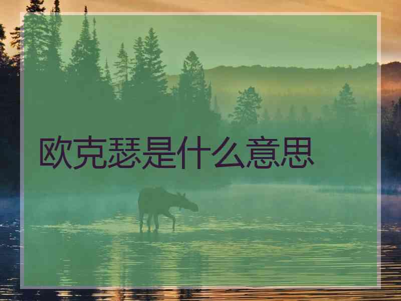 欧克瑟是什么意思