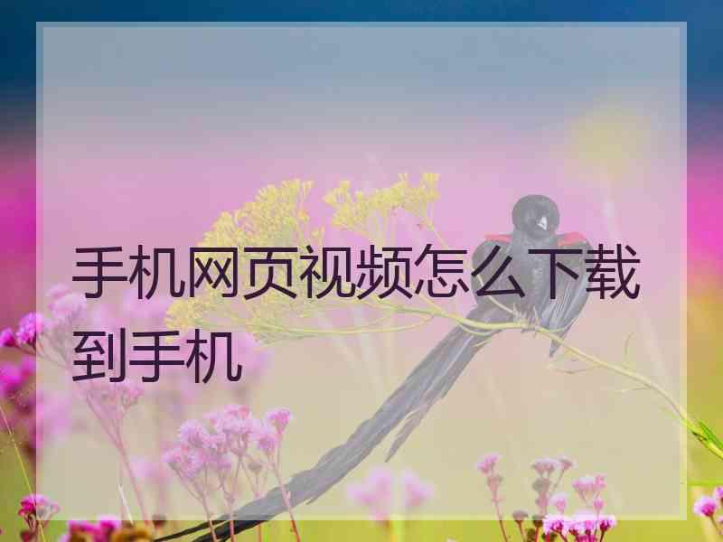 手机网页视频怎么下载到手机