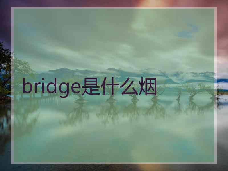 bridge是什么烟