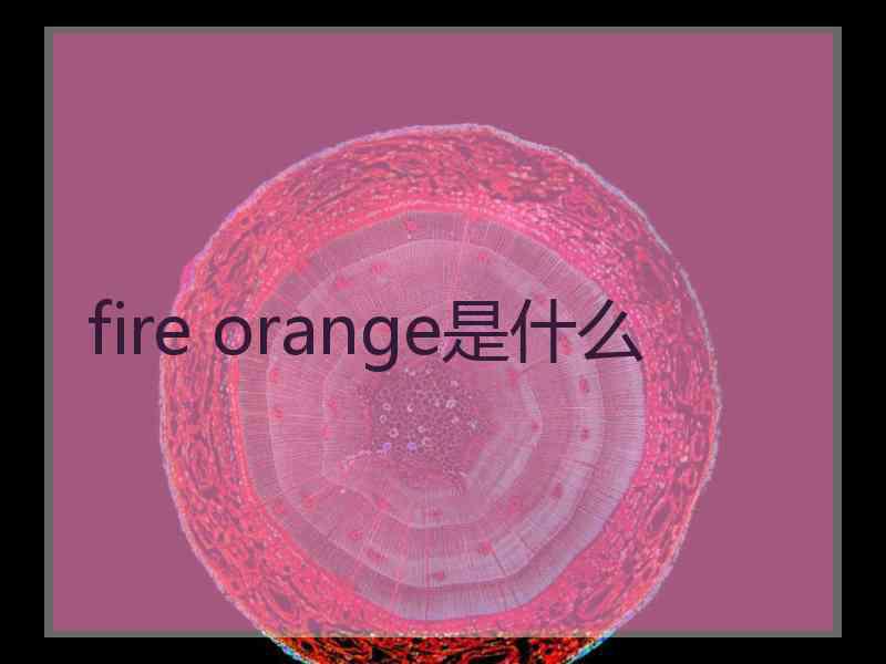 fire orange是什么