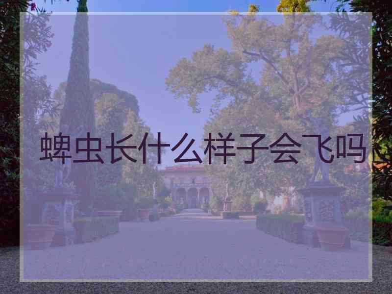 蜱虫长什么样子会飞吗