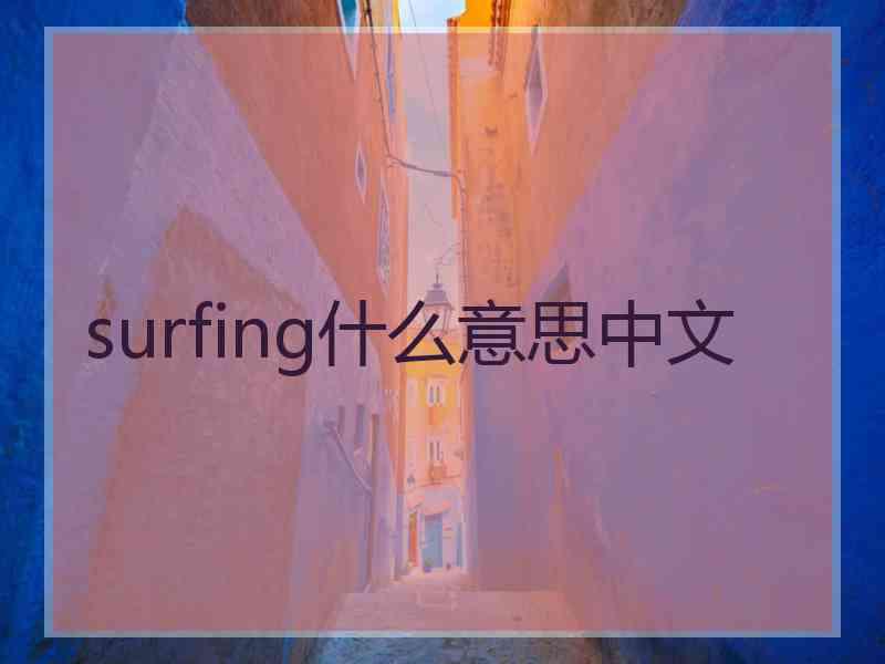 surfing什么意思中文