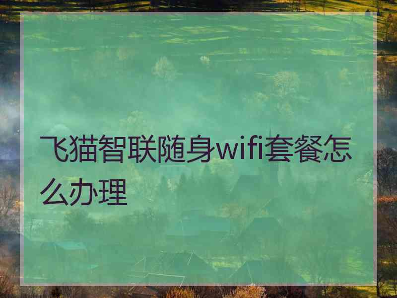 飞猫智联随身wifi套餐怎么办理